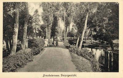 8983 Gezicht op de Herenweg te Breukeleveen uit het zuiden.